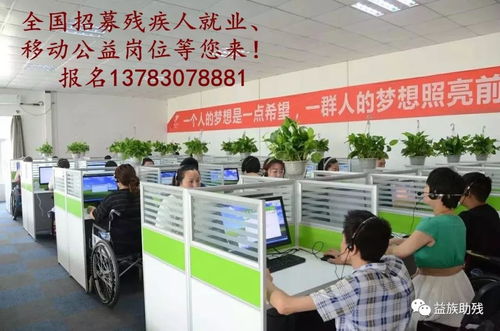 數(shù)字賦能，共創(chuàng)未來 電子商務(wù)為殘疾人群體帶來的新機(jī)遇與信息咨詢服務(wù)支持